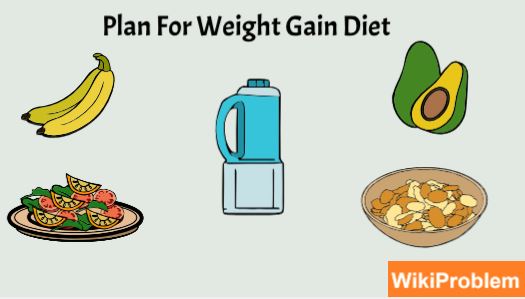 File:How To Plan For Weight Gain Diet.jpg