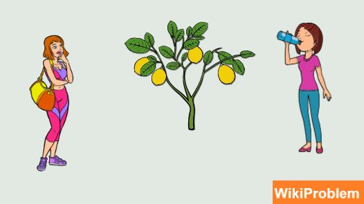 File:What Are The Uses and Benefits of Lemon.jpg